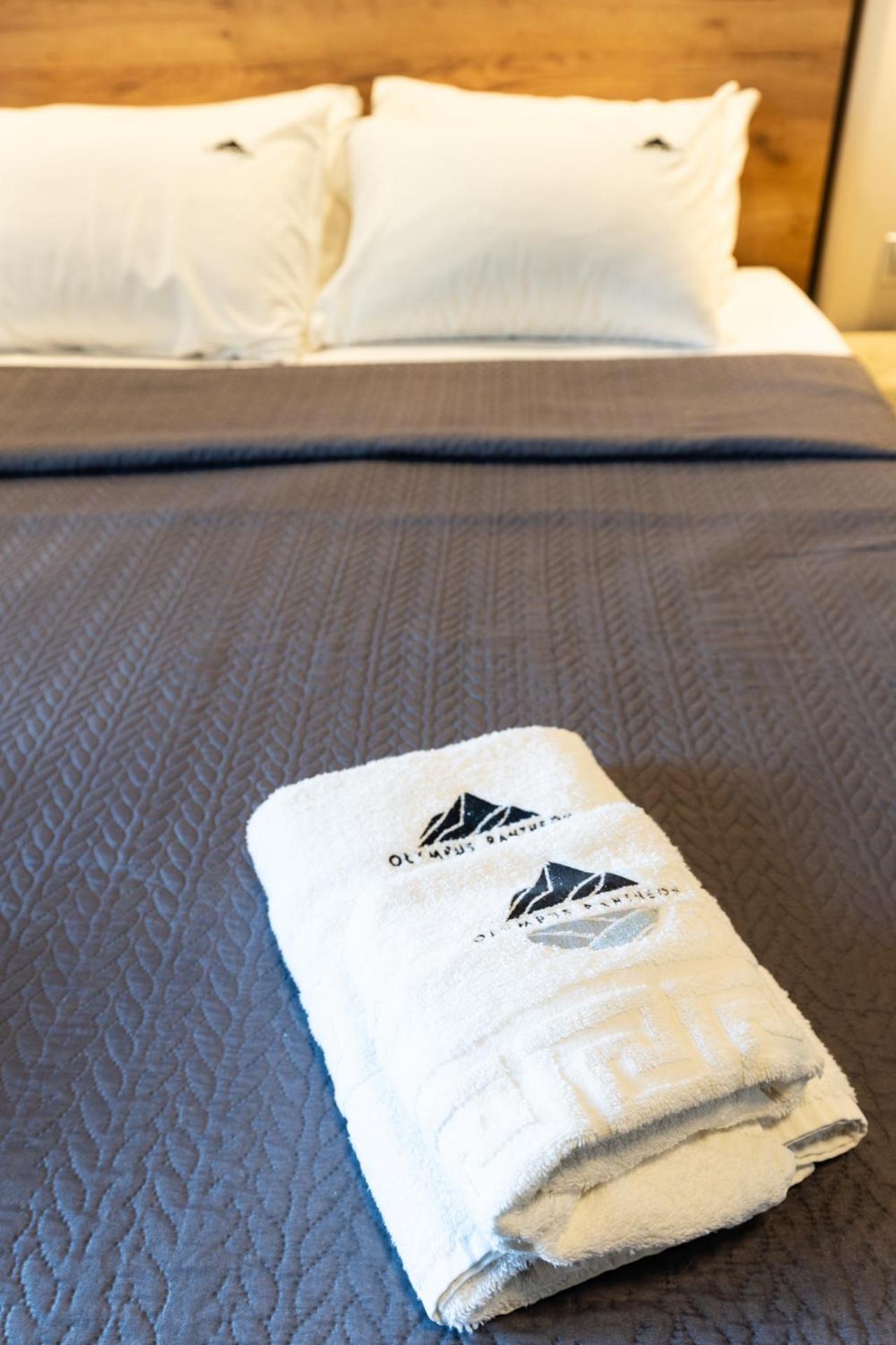 Olympus Pantheon Luxury Rooms Плака-Литохоро Экстерьер фото